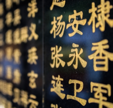 Chinese language characters